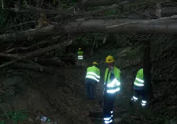 Volontari al lavoro nel bosco 